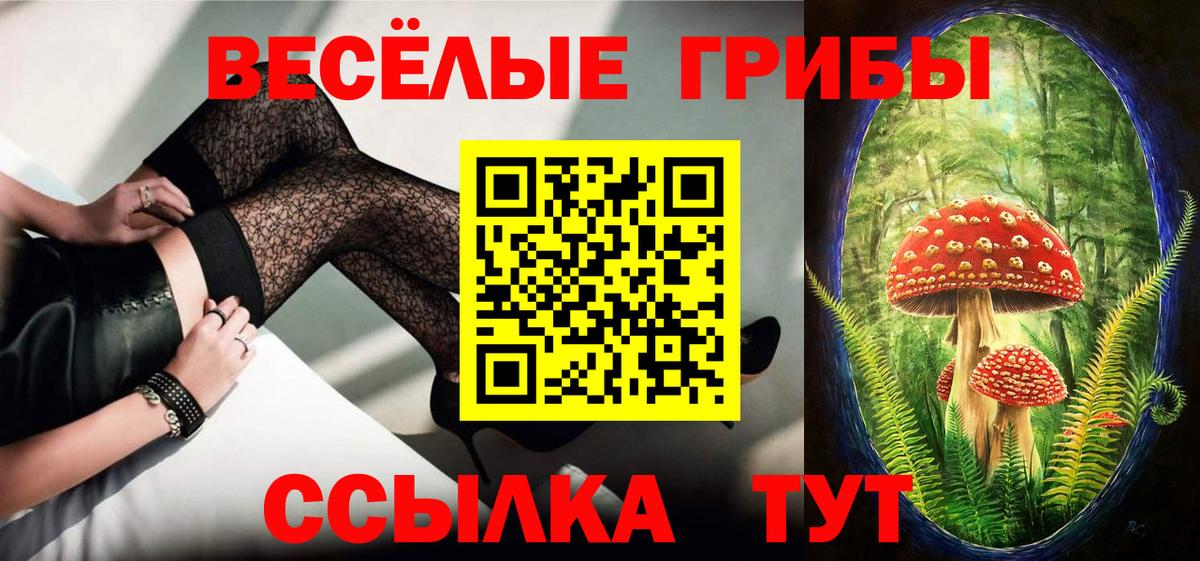 Псилоцибиновые грибы Psilocybine cubensis  Псилоцибиновые грибы Psilocybe  Вход с VPN  Владикавказ 