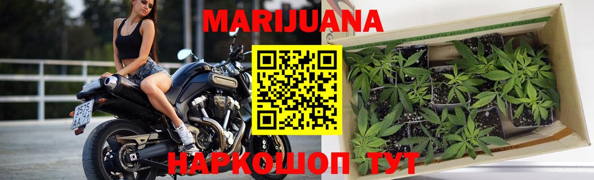 Бошки Шишки Amnesia Владикавказ